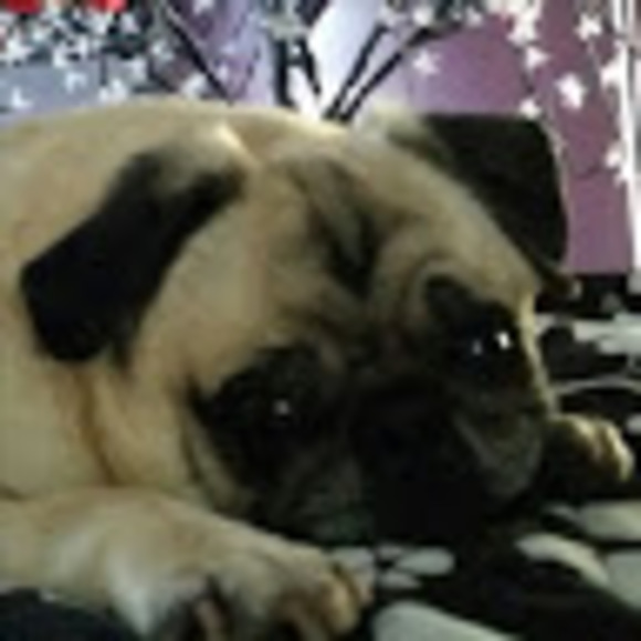 Meet your Posher, Keri - Picture 1 of 1